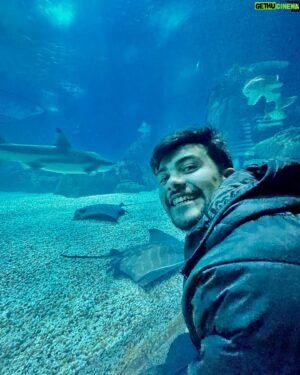 Victor Aguiar Instagram - I feel like an astronaut in the ocean 🐠🌊🦈
.
.
.
.
#oceanariodelisboa #lisbon #lisboa