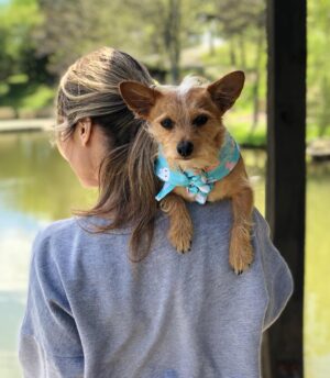 Victoria Pratt Instagram - Happy Easter, dear ones! Gary hopes the Easter Bunny made his deliveries safely, and holds no grudge against him for skipping our house. He got a swanky Easter bandana from his auntie @marsha.e.jackson3 … and you know how boys love clothes…. so he’s super not disappointed or anything. Whatever, Easter Bunny.