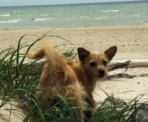 Victoria Pratt Instagram - Who’s ready for summer?! We are!!!
@prettiestlaura  #SaubleBeach