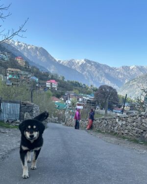 Vikram Chatterjee Instagram - 🏔️❤️