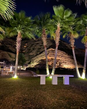 Vikram Singh Chauhan Instagram - 🏜️🌸

#exploreoman #experienceoman #omanbyyou #omantravel #vibesofoman #omantourism