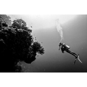 Vincent Stein Instagram - Das Bild ist damals, 2019 unter Wasser entstanden. Da würde ich gerne wieder hin. Da kann einen keiner vollquatschen.
