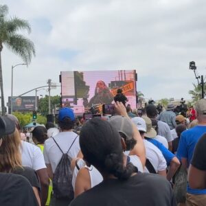 Vinessa Shaw Instagram - Yesterday felt like history in the making. At the @sagaftra rally which began with a march from one entertainment studio to another, ended with impassioned speeches by our union president and @sagaftra @wga members including @naacp! I feel honored to be standing with my union who are on the frontlines inspiring other laborers in completely different businesses to fight for their rights! We have been told for decades by the conglomerates to be silent and just appreciate what we have, which is currently an unfair share. It’s time to see this fight from a humanistic standpoint.  #amptp, it’s time to see the light. Open your eyes to see who makes you what you are. It’s the people, the creatives. We are not backing down. #sagaftrastrong #sagaftrastrike