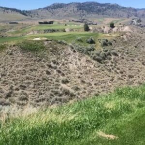 Vinnie Jones Instagram - Awesome shot, fantastic course @tobianogolf 👏🏌️‍♂️

#golf #golflife #golfstagram #canada #tobianogolf