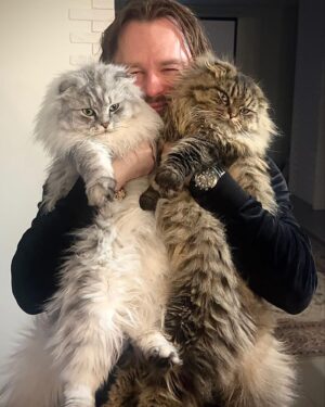 Vitaly Gogunsky Instagram - Найдите 10 отличий ☝️#котики