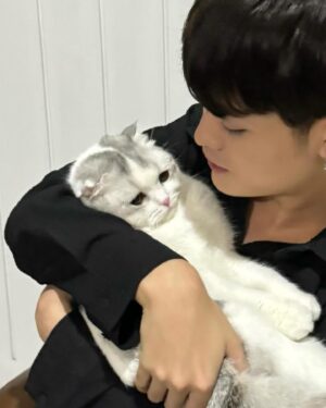 Vitchapol Somkid Instagram - วันกอดเหมียวววว🐱