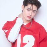 Vitchapol Somkid