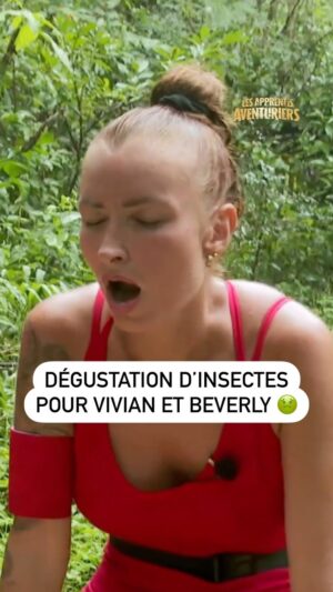 Vivian Grimigni Instagram - "Le scolopendre il est immense !" 😳 
S’ils veulent espérer remporter la finale, les Rouges doivent à tout prix réussir cette épreuve au plus vite ! ⏳ Qui gagnera le trophée de la saison 7 ? 
 
🥥 #LAA7, la finale, aujourd’hui à 19:50