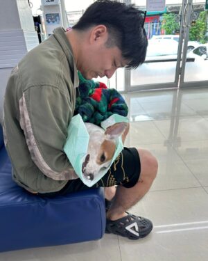 Vivid Bavornkiratikajorn Instagram - ป๊ามาส่งนามิได้เท่านี้นะลูก ขอให้นามิพักผ่อนให้สบาย ไม่ต้องเป็นห่วงป๊าและทุกคน ป๊าและทุกคนรักนามิ จะหมั่นสวดมนต์ทำบุญ อุทิศกุศลให้นามินะลูก ป๊ามีความสุขตลอด5ปีที่ผ่านมา เป็นความทรงจำที่ดี ดีใจที่ได้มีนามิมาเป็นสมาชิกในครอบครัวนะลูก 🐶🤍🤍🤍🤍🤍

 ถ้าเรามีบุญวาสนาต่อกัน วันนึงเราอาจได้พบกันอีกก็ได้ แต่ตอนนี้ ป๊าก็ต้องใช้ชีวิตอยู่กับปัจจุบันต่อไป 
รักและคิดถึงเสมอ ลูกรักจอมซนของป๊า 🐶🥹🤍🤍🤍

🌟🌟ฝากถึงเพื่อนๆทุกคนที่เลี้ยงน้องๆนะครับ ขอให้ดูแลเค้าให้ดีที่สุดตอนเค้ายังมีชีวิตอยู่ อนาคตไม่มีใครรู้ อย่างน้อยเราก็จะได้รู้สึกว่า เราได้ปฏิบัติกับเค้าอย่างดีแล้ว 🌟🌟

@namibokbok #dog #puppy #jackrussell #rip #family
