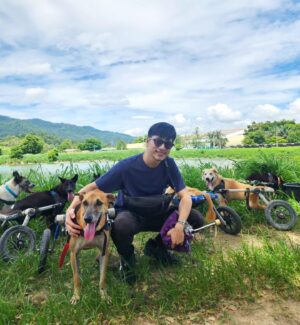 Vivid Bavornkiratikajorn Instagram - น้องหมาติดล้อ 🐶🚗🚗❤️
มาร่วมแจมเอาอาหารมาให้น้องหมาครับ 
ที่นี่มีสุนัขกว่า800 ตัว ที่ยังต้องการอาหาร 
เพื่อนๆสามารถนำอาหาร หรือปัจจัยต่างๆเพื่อช่วยน้องหมาได้ครับ ที่ @tmtrdorg 
และ เพจ FB : the man that rescues dogs 
พี่ๆเจ้าหน้าที่และน้องหมาใจดี น่ารักครับ 🐶❤️❤️

#dog #puppy #charity #happy