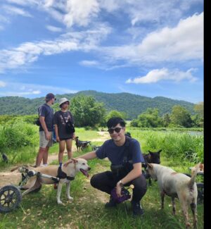 Vivid Bavornkiratikajorn Instagram - น้องหมาติดล้อ 🐶🚗🚗❤️
มาร่วมแจมเอาอาหารมาให้น้องหมาครับ 
ที่นี่มีสุนัขกว่า800 ตัว ที่ยังต้องการอาหาร 
เพื่อนๆสามารถนำอาหาร หรือปัจจัยต่างๆเพื่อช่วยน้องหมาได้ครับ ที่ @tmtrdorg 
และ เพจ FB : the man that rescues dogs 
พี่ๆเจ้าหน้าที่และน้องหมาใจดี น่ารักครับ 🐶❤️❤️

#dog #puppy #charity #happy