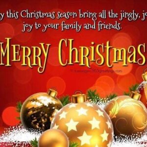 Vladimir "Furdo" Furdik Instagram - I wish you all a Merry Christmas