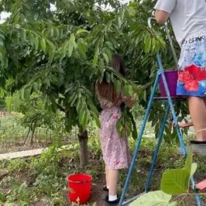 Volodymyr Ostapchuk Instagram - Раніше бажали, щоб наступний рік був кращим, 
а зараз хочу побажати, щоб він був не гіршим,
ніж 2023 

Дякую Збройним Силам України за цей рік! 
Слава Україні! 
Героям слава! 

З Новим роком🙌