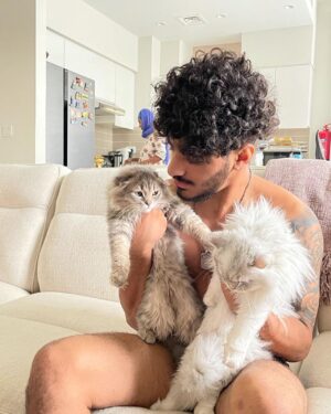 Walid Muhsein Instagram - Meow 🐈🐈‍⬛