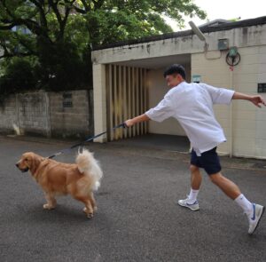 Wang Ko-Yuan Instagram - 圖一：你準備好去玩球球了嗎？
圖二：好了啊快點啦～
圖三：好啦好啦～那我們去那裡玩球球
圖四：快點給我球球！！！
圖五：呼真是好累你怎麼這麼Ｑ啊
圖六：走吧球球派對！！！
（邊打邊笑邊打邊爽）
謝謝圓夢天使 @junoohknow 🦮