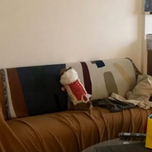 Weng Jiawei Instagram - 告別了待著4年的家，謝謝你陪伴著我無數個悲喜交加的日子，我在這裡學習和補充的勇敢，會帶著去到新的住處繼續儲蓄，四年前找房子你就是第一個最佳眼緣，還好我們手速心智很快才能讓你變成家人。

不得不說這4年我感受自己真的改變很多，
雖然我還是我，但心裡流動的東西長出不一樣的樣貌，獨立一點了嗎？或是更能直覺的反應自己的內在，從中也有不少對自己的質疑然後堆疊到信任。

謝謝房子帶給我的安心和溫暖，我們和小葵可以在這裡累積生命經驗，真的是太好了🥲♥️

謝謝我遇見的一切，
希望也能帶著這股好能量繼續分享出去🤍

#always