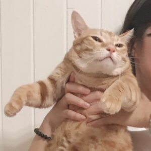 Weng Jiawei Instagram - 告別了待著4年的家，謝謝你陪伴著我無數個悲喜交加的日子，我在這裡學習和補充的勇敢，會帶著去到新的住處繼續儲蓄，四年前找房子你就是第一個最佳眼緣，還好我們手速心智很快才能讓你變成家人。

不得不說這4年我感受自己真的改變很多，
雖然我還是我，但心裡流動的東西長出不一樣的樣貌，獨立一點了嗎？或是更能直覺的反應自己的內在，從中也有不少對自己的質疑然後堆疊到信任。

謝謝房子帶給我的安心和溫暖，我們和小葵可以在這裡累積生命經驗，真的是太好了🥲♥️

謝謝我遇見的一切，
希望也能帶著這股好能量繼續分享出去🤍

#always