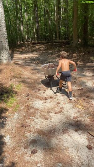 Wes Chatham Instagram - The best part of having kids is free labor.