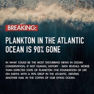 Wesley Chan Instagram - The world would be much happier without people. Agree or disagree?

⚠️ Apparently the plankton article is false. But this kind of fake news might be what’s necessary for effective awareness and action. Then again, that’s giving humanity a lot of credit…