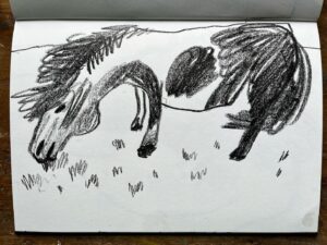 Wilfrid Wood Instagram - Horses are the best and worst things to draw