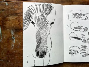 Wilfrid Wood Instagram - Horses are the best and worst things to draw