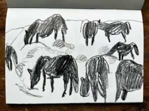 Wilfrid Wood Instagram - Horses are the best and worst things to draw