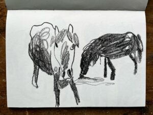 Wilfrid Wood Instagram - Horses are the best and worst things to draw