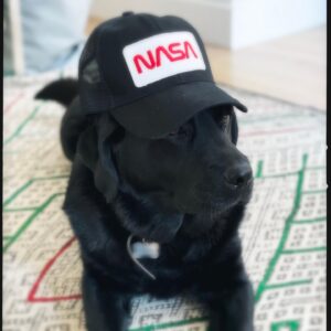 Will Arnett Instagram - Thanks @astro_jessica for the sweet lid. Now even Bella’s dreaming of space