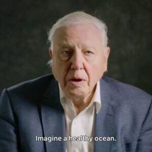 Will Estes Instagram - Posted @withrepost • @world_wildlife Sir David Attenborough has a powerful message for us all…

Right now, negotiations are taking place to combat overfishing in our seas. The greatest single action that governments can take is to end harmful fisheries subsidies by 2020. A positive future is possible if we urge our governments to make the right decisions for our planet. Who’s with us? 🙋 #ShareOurPlanet #WTOPublicForum