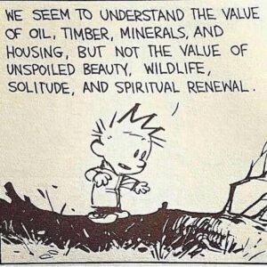 Will Estes Instagram - Bill Watterson- Calvin and Hobbes. Story of Stuff. You can’t run a linear system on a finite planet. #storyofstuff