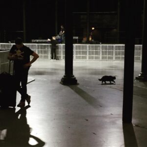 Will Toledo Instagram - The midnight crowd