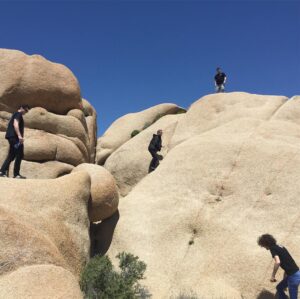 Will Toledo Instagram - Just joshin' around