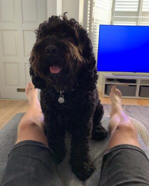 Will Tudor Instagram - ❤️🐶