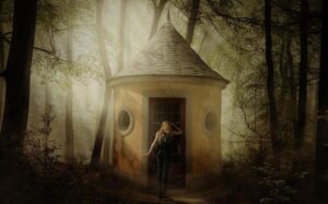 Will Tudor Instagram - Into the Woods - 📷 #5dmarkiii #photography #fairytale #spooky