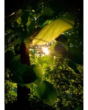 Will Tudor Instagram - Those summe-e-e-r... naaaaa-aaaaaats!!☀️☀️☀️ #iPhone