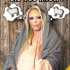 Willam Belli Instagram - Mary, did you know girl?! 😅 You’d have some company in that barn of yours 🐑👋🏽🐑 
Starring the ✨ICONIC✨ @willam @mattycake89 & @ohhey_brandon 
#christmas #christmastime #christmastory #willam #rupaul #ruapulsdragrace #dragrace #dragracefanart #awayinamanger #manger #gayfunny #comedy #sketchcomedy #thehomosapienexperience