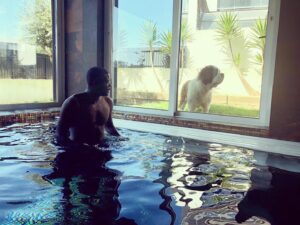William Carvalho Instagram - 🐶❤️