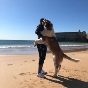 William Carvalho Instagram - 🐶❤️ #enjoyyourlife