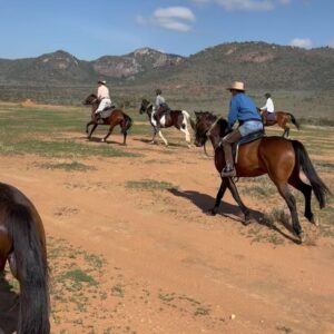 William H. Macy Instagram - On our first evening ride, after walking a good bit, Simon called out, “Shall we have a bit of a canter?”. Well I thought, this is what you practiced over twenty hours for, and off we went.  I didn’t fall off.  Actually, The Tractor turned out to have a competitive streak and I was passing horse after horse.  Pretty freakin’ exhilarating, I gotta say.  It’s hard to worry about your career when you’re galloping on a horse.
 
When we got back, a long table was set with table cloth, napkins, silverware, wine glasses and candles.  And then we had a magnificent meal, cooked over an open fire which included bread that was baked daily in a small metal box heated by the fire.  They made pies and pastries in the thing also.  We never had a meal that was anything less than gourmet. 
 
After the nightly campfire, Flicka and I crawled into our wumphy bed and listened to all manner of animals grunting and howling and barking.  We had seen elephants with newborn babies and giraffes which are so much taller in real life, and two male lions lying around waiting for a lioness to make up her mind.  This was the first day.  We had eleven more before us.