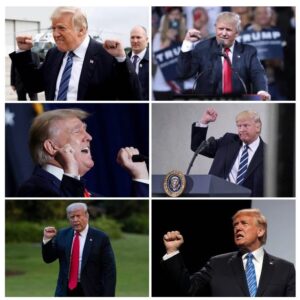 William H. Macy Instagram - The former President seems to air dick a lot at his rallies. He air dicks his supporters as he walks out. Seriously, someone should tell him. 

RICKY STANICKY @primevideo