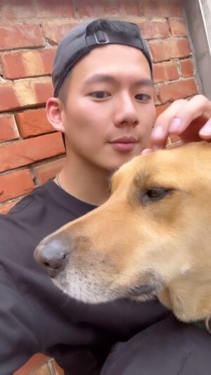 Wu Nien-hsuan Instagram - 養狗之後 所有的狗狗都是我的狗
牠叫阿財 
#dog