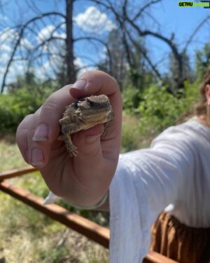 Wyatt Bennett Instagram - Just last week, Shae, Evee and I got to go to TREK. Trek is a camp where we all recreate what the pioneers did in the 1800s by pushing hand carts and traveling across the plains. And oh my it was one of the coolest experiences. I Loved It. We all had a lot of fun, there were so many cool views like the Grand Canyon, and the stars and the moon were insanely bright. Trek, even though it was quite tough, it was well worth it.