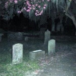 Wyatt Shears Instagram - 3 short stories