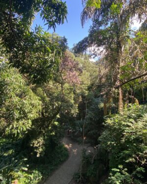 Xande Valois Instagram - Na Paz 🍃🙏🏼