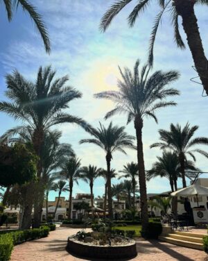 Yağmur Çokgenç Instagram - S H A R M 🌴