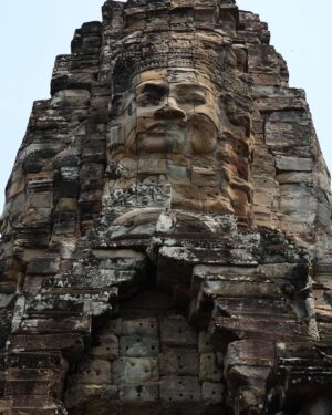 Yair Rodríguez Instagram - Camboya 🇰🇭 Angkor wat- Elephant Sanctuary 🐘