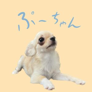 Yamanaka Jyutaro Instagram - かぞくがふえました🐶

ぷーちゃん
暖かく見守ってくれたら思います🐶