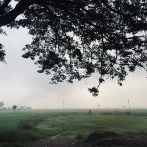 Yamini Yagnamurthy Instagram - Bliss ❤️ 
#kaveri #thalakadu #humanity #metagoodhumanbeing #soulful #surrealism #loveforgreen with @vijaykartikkannan 😊