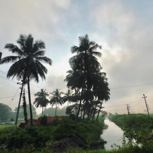 Yamini Yagnamurthy Instagram - Bliss ❤️ 
#kaveri #thalakadu #humanity #metagoodhumanbeing #soulful #surrealism #loveforgreen with @vijaykartikkannan 😊