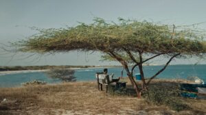 Yamini Yagnamurthy Instagram - Screengrabs of #indianterrain film #fashionfilm @whoamamadesign @room.no.101 @dr.nakata_ @mr.richardanthony @thatsmokeshell @saifu.salam